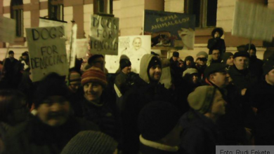 IMG-20170129-WA0006_230065.jpg