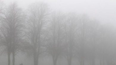 anm-avertizare-cod-galben-de-ceata-si-vizibilitate-scazuta-i