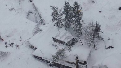 avalansa_2.jpg