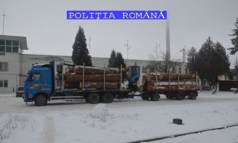 BRAȘOV. Material lemnos în valoare de 11.000 de lei, confiscat de polițiștii de la Transporturi (FOTO) 1 dsc-0579.jpg