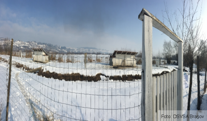 BRAŞOV. Focar de gripă aviară depistat într-o gospodărie din apropierea râului Olt (FOTO) 1 gripa aviara_229755.png