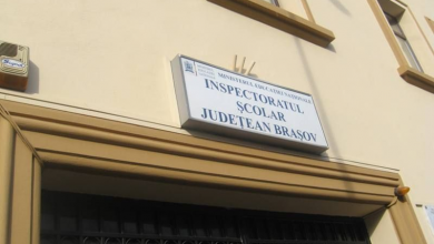 img-6367_4.jpg