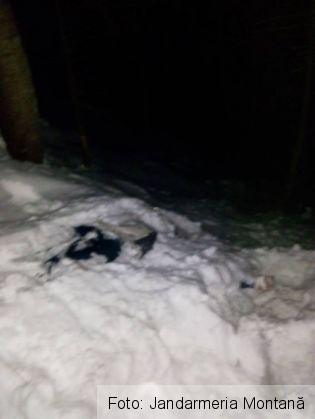 BRAȘOV. Tânărul găsit decedat la 7 Scări a fost identificat 1 jandarmi3_229113.jpg
