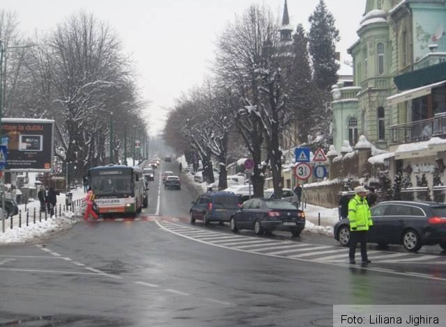BRAȘOV. Drumul spre Poiană este extrem de aglomerat 1 livada_2.jpg