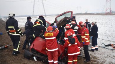 mures_2.jpg