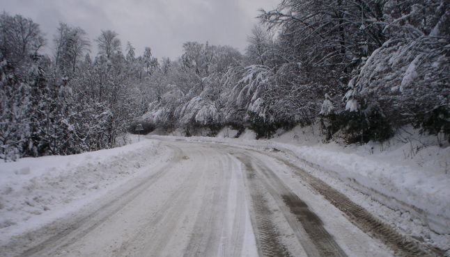 Brașov. ATENȚIE! Trafic întrerupt pe DN 13 - Pădurea Bogății 1 padurea-bogatii.jpg