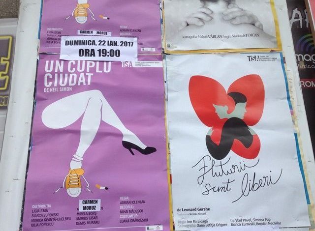 BRAȘOV. Patru spectacole la teatru 1 teatru_19.jpg
