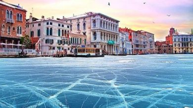 venetia.jpg