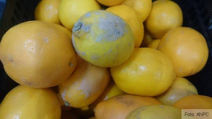Controale la raioanele de fructe și legume din supermarketuri (FOTO) 1 anpc_230604.jpg