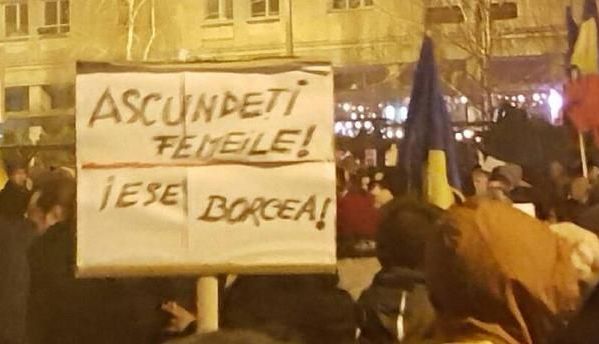 Umorul străzii. Cele mai amuzante mesaje ale protestatarilor - GALERIE FOTO 1 borcea_9.jpg