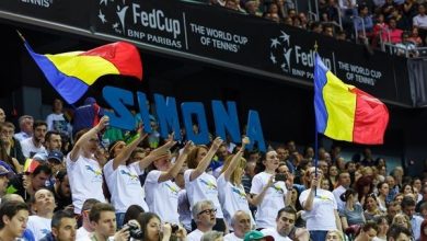 fanitenis.jpg