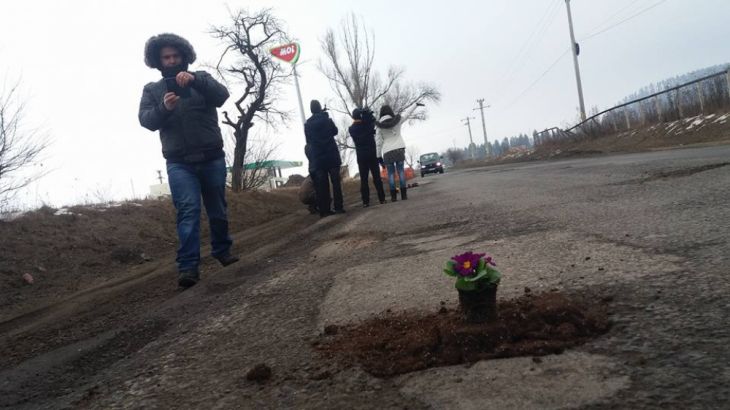 BRAȘOV. În gropile de pe DN73 au răsărit... flori 1 floriDN73a_231237.jpg