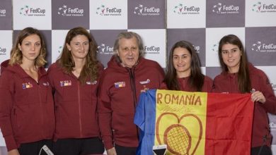 nastase-fedcup.jpg