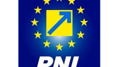 pnl_4.jpg