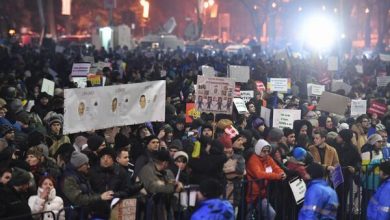 protesteromania1.jpg