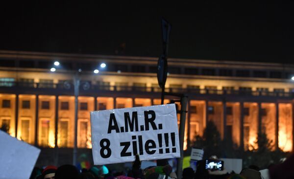 protesteromania5.jpg