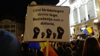 protesteromania6.jpg