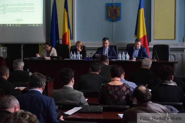 sedintaconsiliujudeteanfebruarie6_231749.JPG