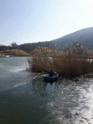 BRAŞOV. Căţel salvat din stufărişul de pe lacul Noua 1 IMG-20170309-WA0001_232399.jpg
