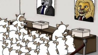 animal-politics.jpg