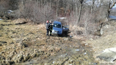 autoturismdecor.jpg
