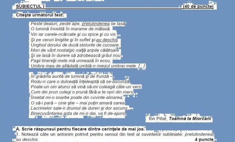 Evaluarea Naţională 2017. Subiecte nu tocmai pe placul elevilor, la proba de română 1 barem_3.jpg
