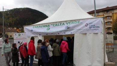 caleaverde.jpg