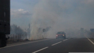 fum dn 1_232115.jpg