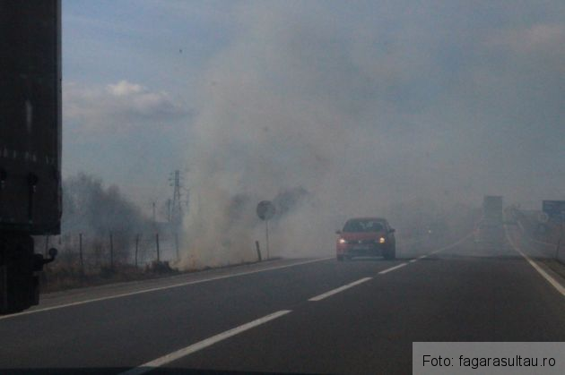 BRAȘOV. Trafic în condiții de... fum, pe DN 1! Au început arderile vegetației uscate (FOTO) 1 fum dn 1_232115.jpg