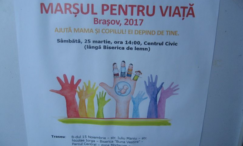 img-0699.jpg