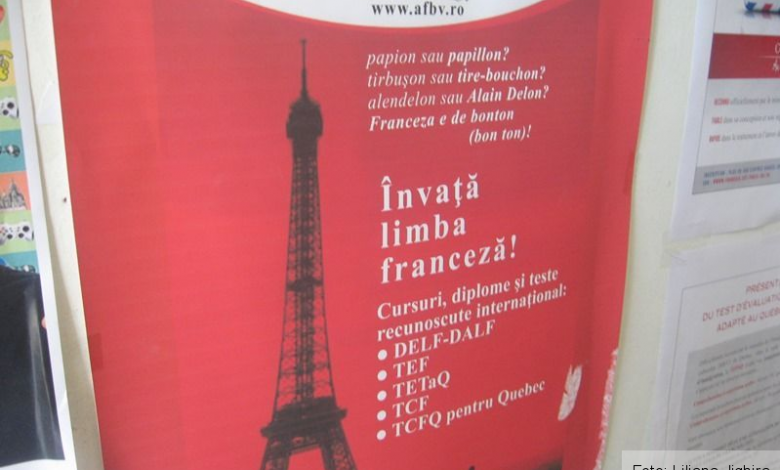 BRAȘOV. Picnic poetic francofon #haikunoi2017 1 img-0714_2.jpg