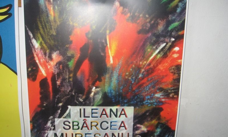 BRAȘOV. Expoziţie aniversară Ileana Sbârcea Mureşanu 1 img-0735.jpg