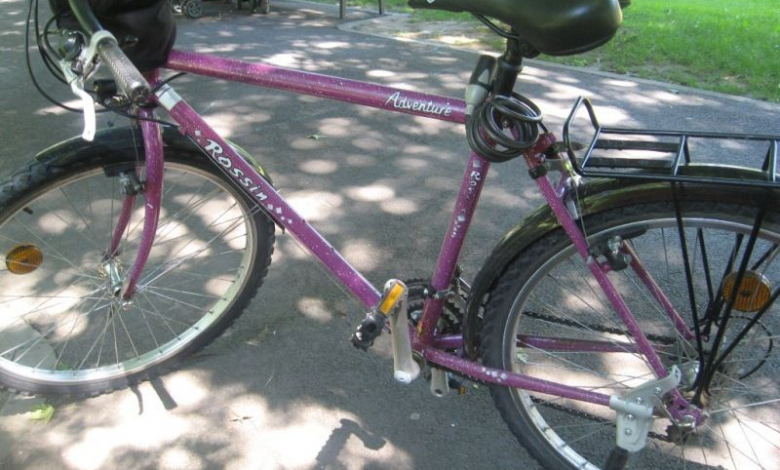 Guvernul se opune introducerii tichetelor de bicicletă 1 img-1668.jpg