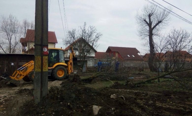 BRAȘOV. Unii localnici din Colonia Bod acuză că demolările distrug copacii 1 img-6690.jpg
