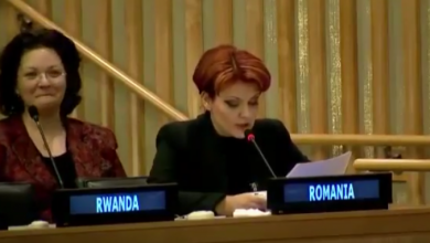liaolgutavasilescu.png