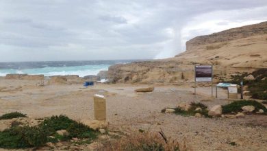 malta1.jpg