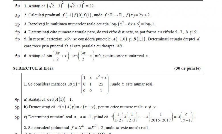 EXAMENE NAŢIONALE. Matematica este astăzi în prim-plan 1 matem_3.jpg