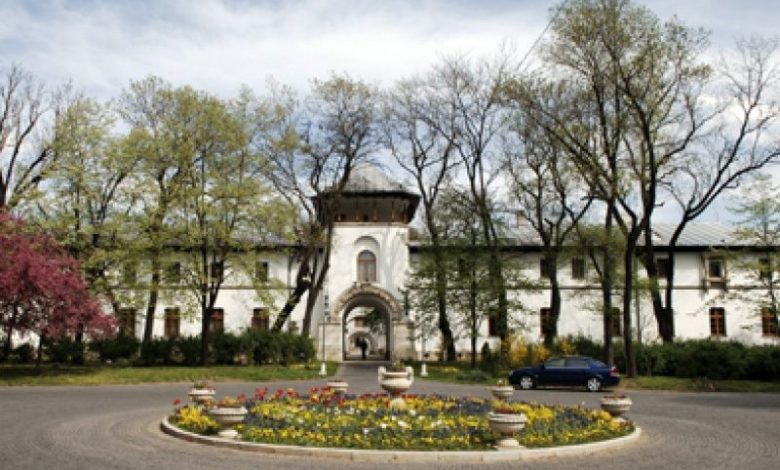 Palatul Cotroceni va fi iluminat în mov, de Ziua Internațională a Luptei împotriva Epilepsiei 1 palatulcotroceni_3.jpg