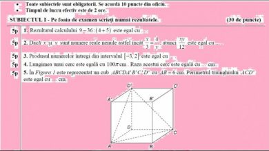 submate_232790.JPG