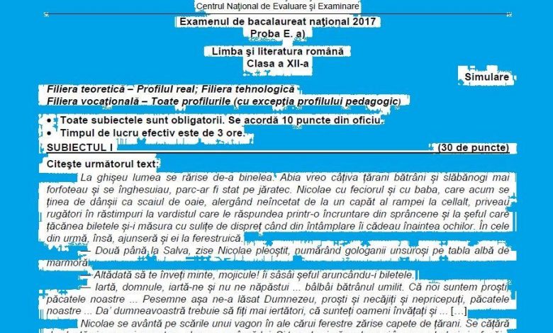 BAC 2017. Subiectul la română, real şi tehnologic - clasa a XII-a 1 subreal_2.jpg