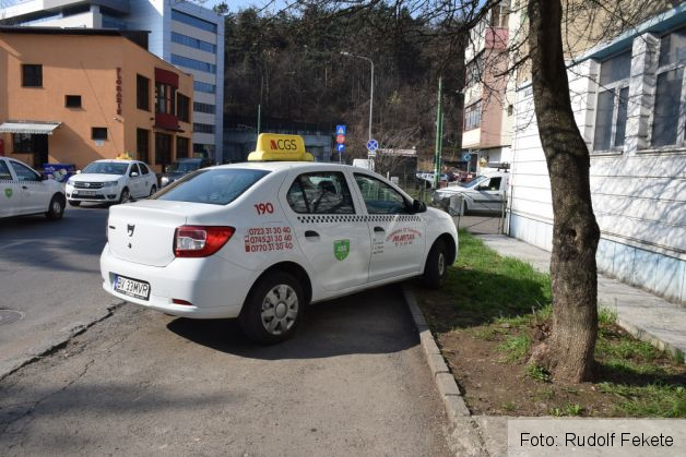 taximetristparcatiarba_233203.JPG