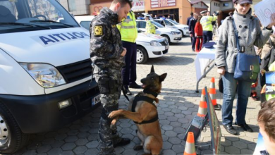 BRAŞOV. Expoziţie de tehnică în ajunul Zilei Poliţiei Române (GALERIE FOTO) 6 ziuapolitieiaula9_233201.JPG