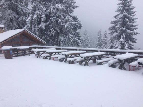 Mai rău ca la METEO! 1 ZapadaPostavarul_234484.jpg