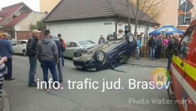 accident vulturului 4_233847.jpg