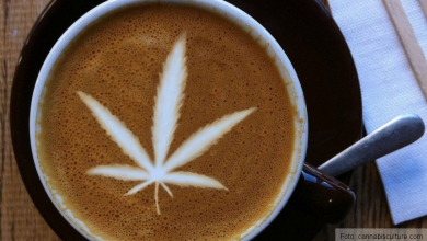 coffee-cannabis.jpg