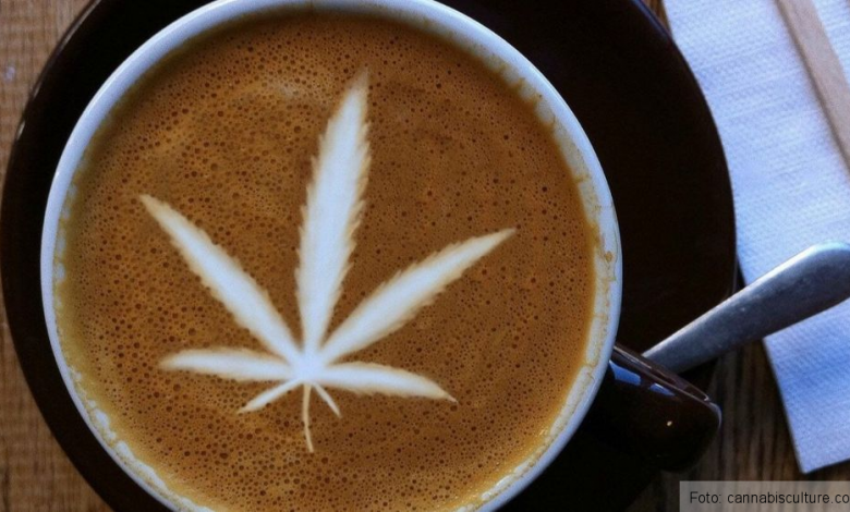 BRAŞOV. „Cannabis coffee”-ul şi „Biscuiţii nuts & cannabis” din meniu i-ar putea aduce o amendă de până la 100.000 de lei sau chiar dosar penal unui agent economic 1 coffee-cannabis.jpg