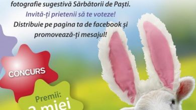 concurspasti.jpg