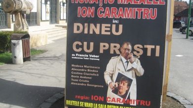 dineu_2.jpg