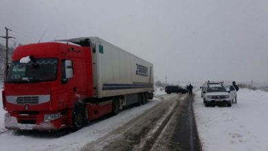dn 1a aprilie_234695.jpg