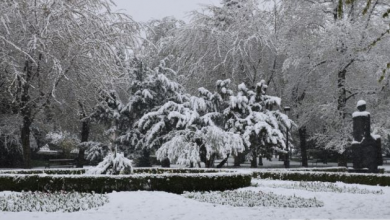 BRAȘOV. Atenție, vin ninsorile! Vânt puternic! De când... 6 iarnaninsoareaprilie (14)_234617.JPG